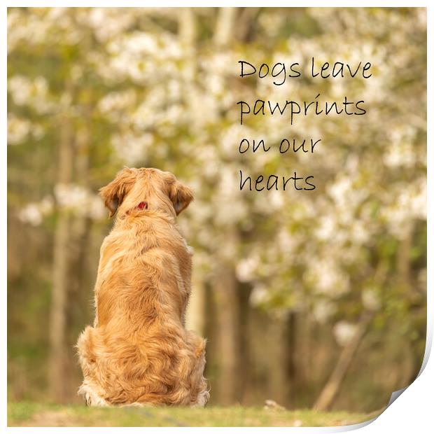 Dogs leave Paw Prints on our Hearts Print by Chantal Cooper