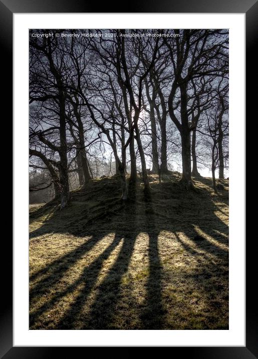 Sun streaming through trees Lake District Framed Mounted Print by Beverley Middleton