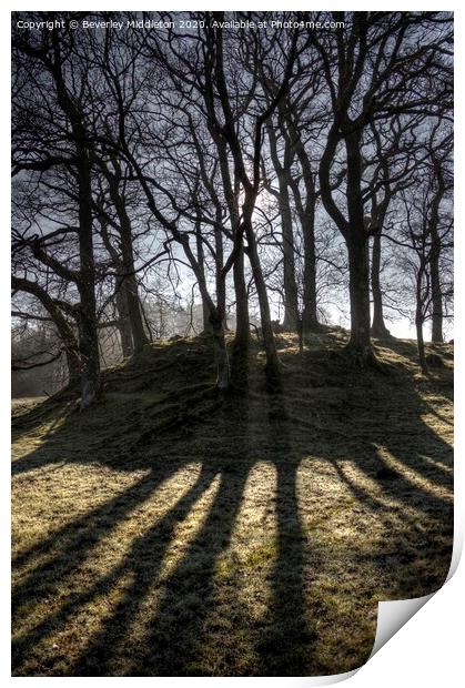 Sun streaming through trees Lake District Print by Beverley Middleton