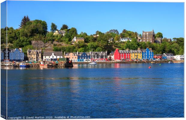 Tobermory on the Isle of Mull Canvas Print by David Morton
