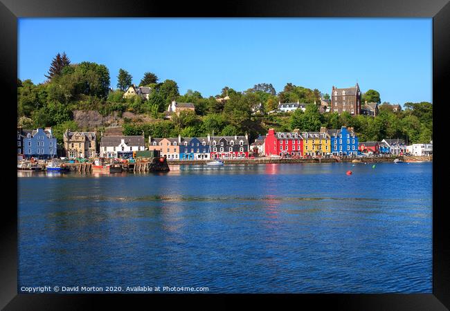Tobermory on the Isle of Mull Framed Print by David Morton