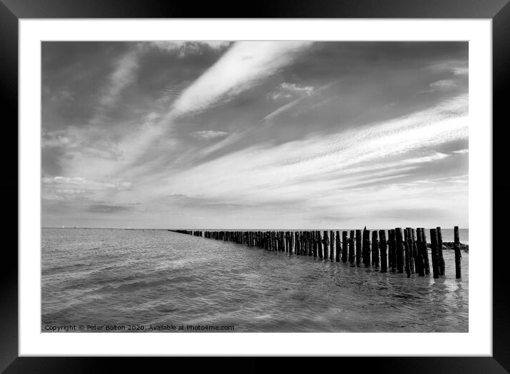 Remains of an ancient fish trap on the River Blackwater at Bradwell, Essex, UK. Framed Mounted Print by Peter Bolton