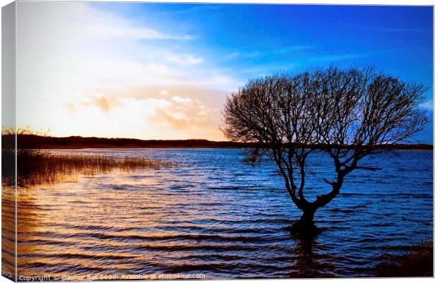Sunset at Kenfig Pool Canvas Print by Gaynor Ball