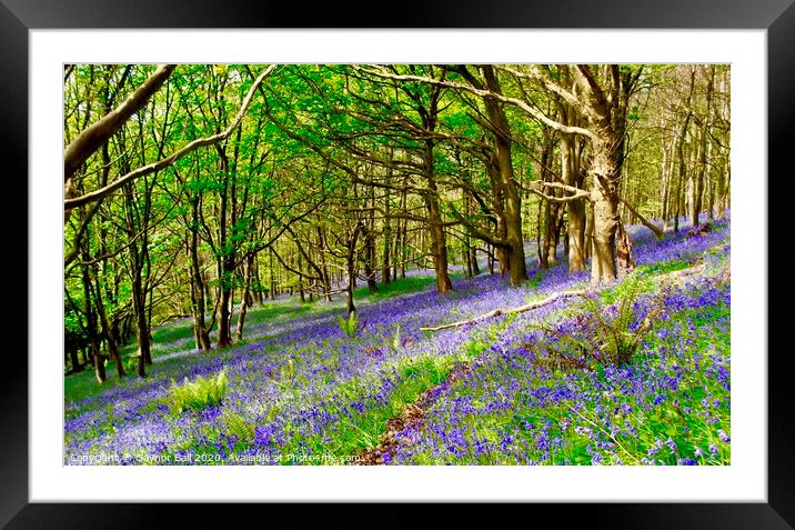 Bluebell Wood at Margam Framed Mounted Print by Gaynor Ball