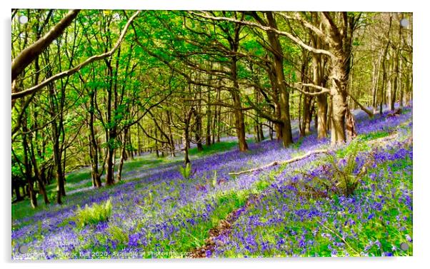 Bluebell Wood at Margam Acrylic by Gaynor Ball