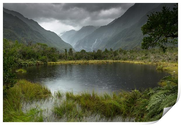 Franz Josef in the Rain Print by Chantal Cooper