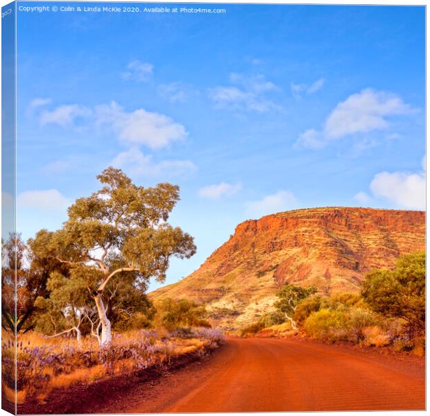 Mount Nameless, Western Australia Canvas Print by Colin & Linda McKie