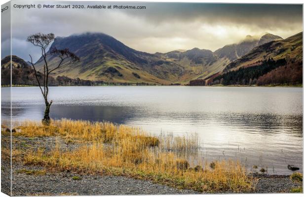 Lonely tree at Buttermere in the Lake District Canvas Print by Peter Stuart