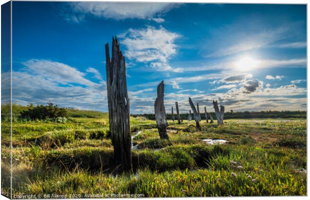 The old stumps. Canvas Print by Bill Allsopp