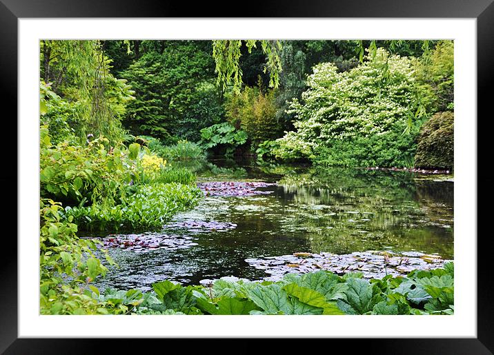 Little Pond Framed Mounted Print by Alexia Miles