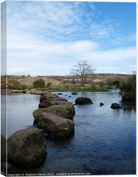 Stepping Stones Canvas Print by Stephen Hamer