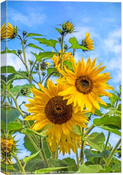 Sun flowers Van Gogh style Canvas Print by Allan Bell