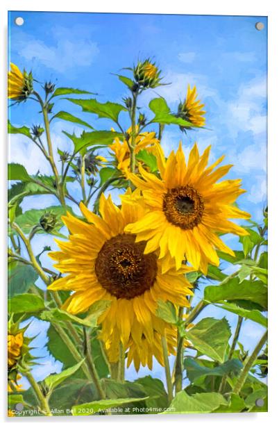 Sun flowers Van Gogh style Acrylic by Allan Bell