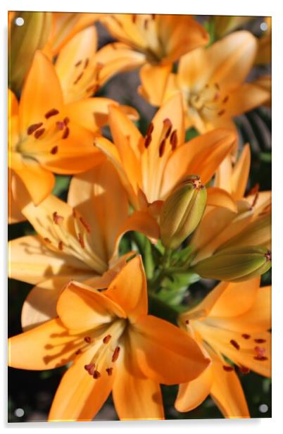 Bouquet of orange lilies Acrylic by Karina Osipova