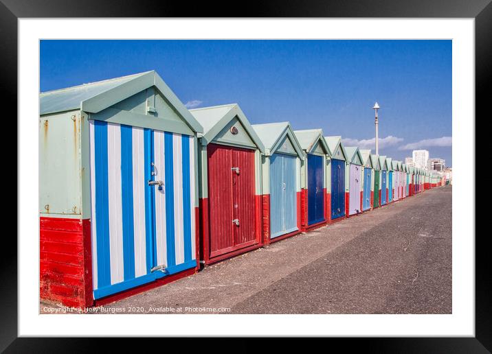 Brighton Beach huts Framed Mounted Print by Holly Burgess