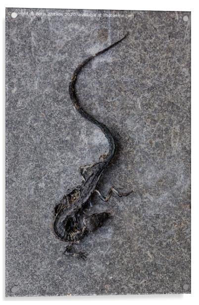 Dead lizard. Acrylic by Boris Zhitkov