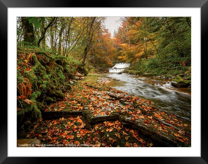 Autumn at Clauchan Water Framed Mounted Print by David Brookens
