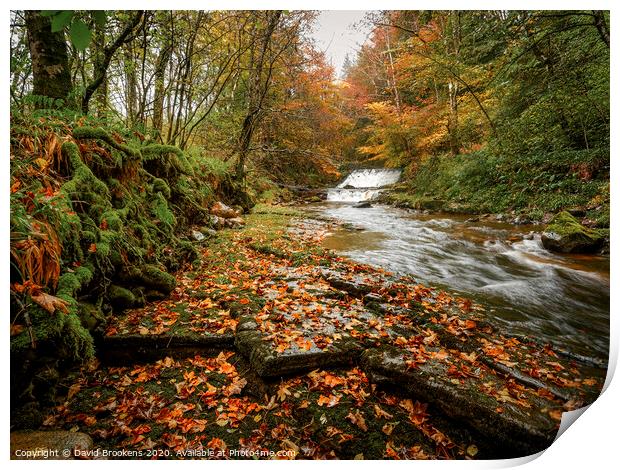 Autumn at Clauchan Water Print by David Brookens