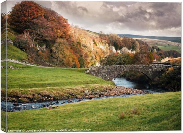 Cotterby Scar Canvas Print by David Brookens