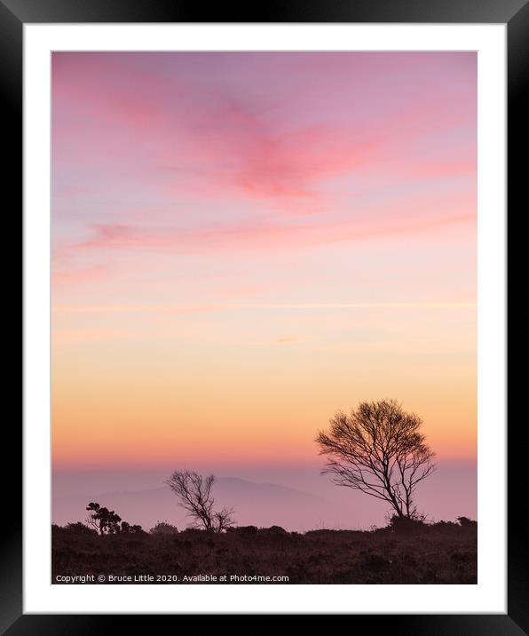 Dawn pinks on Woodbury Common Framed Mounted Print by Bruce Little