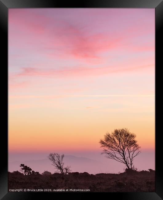 Dawn pinks on Woodbury Common Framed Print by Bruce Little