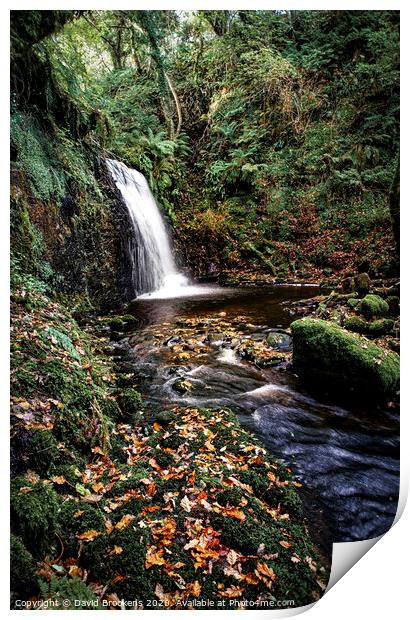 Autumn at the Fairy Glen Print by David Brookens