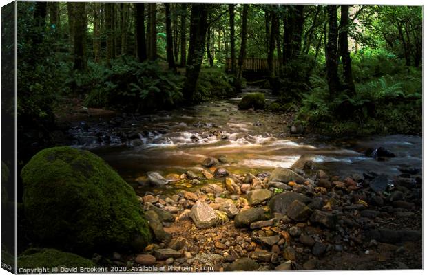 The Ford at Dyemill Canvas Print by David Brookens