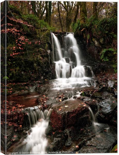 Glenashdale Waterfall Canvas Print by David Brookens