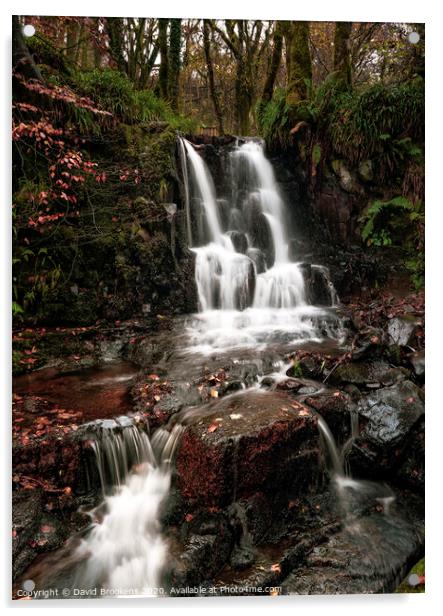 Glenashdale Waterfall Acrylic by David Brookens