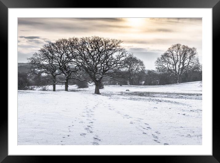 Footprints in the Snow. Framed Mounted Print by Ros Crosland