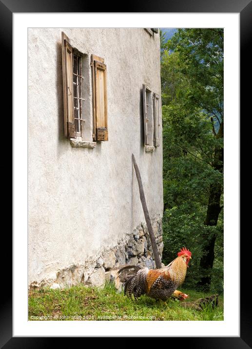 A rooster in front of a house Framed Mounted Print by John Stuij