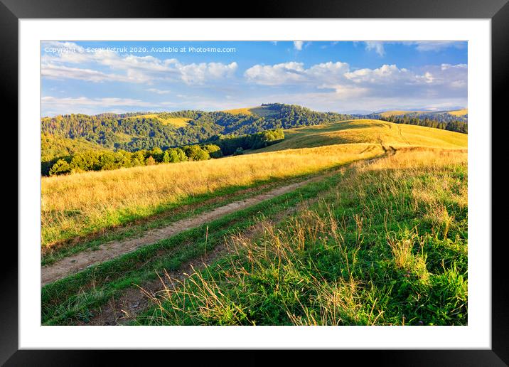 A dirt road passes through the mountain peaks of the Carpathian hills filled with golden light in the morning sun. Framed Mounted Print by Sergii Petruk