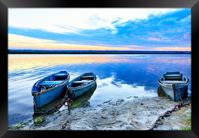 Old blue-green boats moored to the shore by old iron chains and stand on the shore of a calm river against the background of the morning horizon. Framed Print by Sergii Petruk