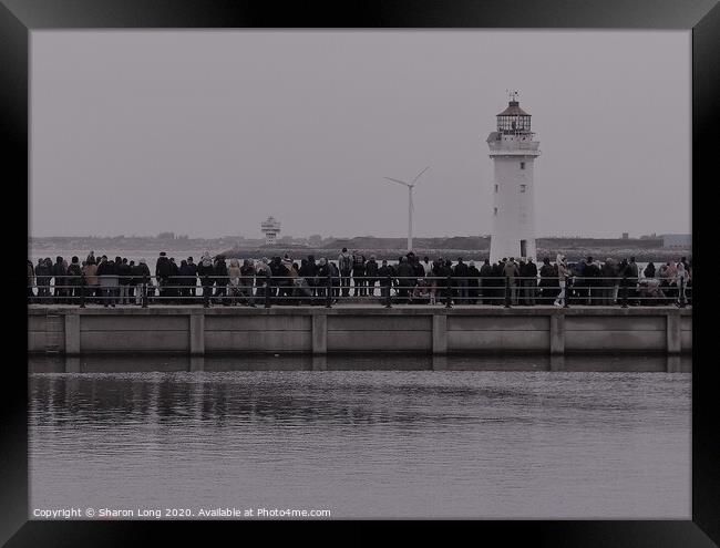 Waiting For the Giants in New Brighton Framed Print by Photography by Sharon Long 