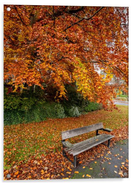 Autumn Glory Acrylic by Ros Crosland