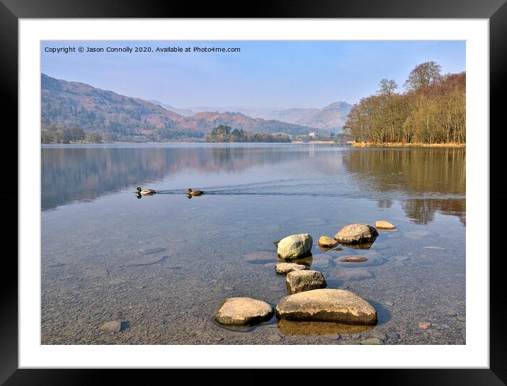 Ducks On Grasmere. Framed Mounted Print by Jason Connolly