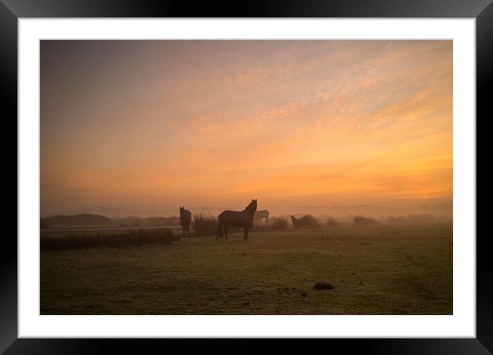 Misty Sunrise at Northam Burrows in North Devon Framed Mounted Print by Tony Twyman