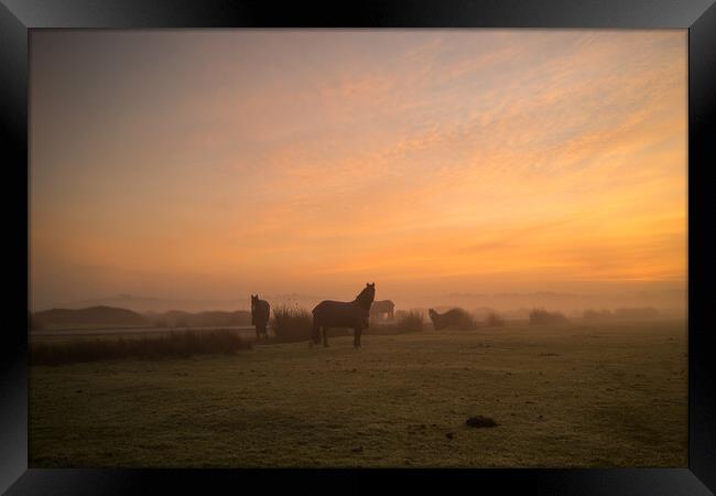 Misty Sunrise at Northam Burrows in North Devon Framed Print by Tony Twyman