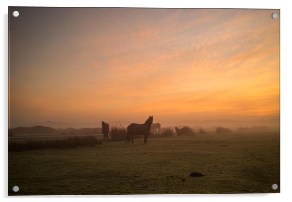 Misty Sunrise at Northam Burrows in North Devon Acrylic by Tony Twyman