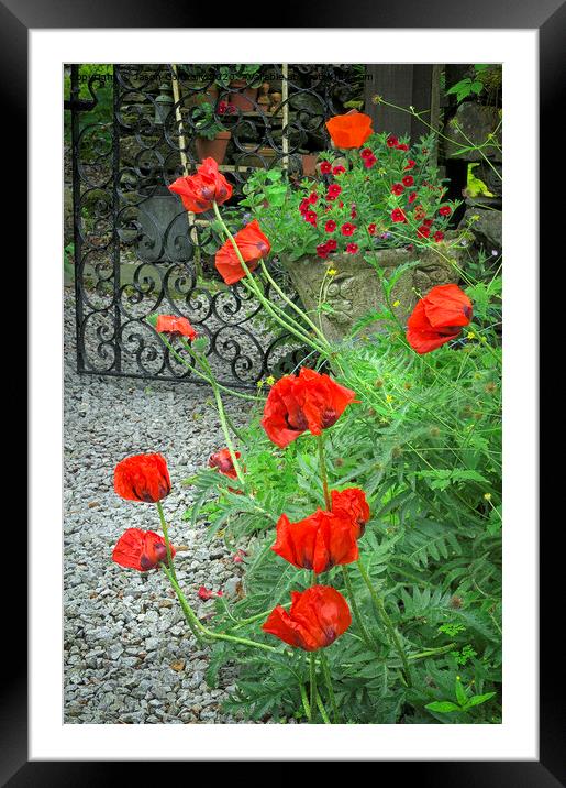 Poppy Garden. Framed Mounted Print by Jason Connolly