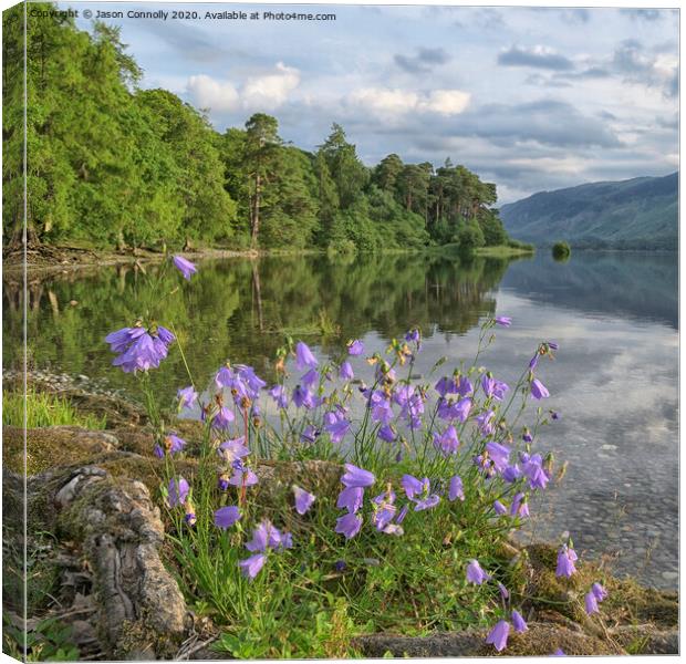 Derewntwater Harebells. Canvas Print by Jason Connolly