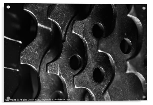 Bicycle Cassette in Monochrome Acrylic by Angelo DeVal