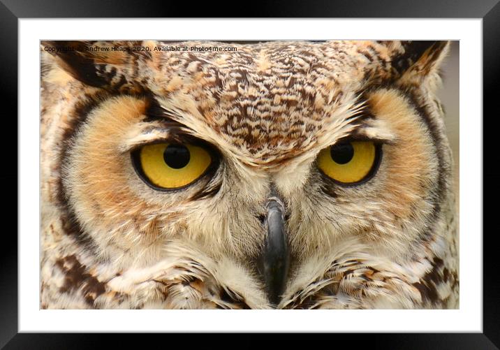 Eagle owl eyes Framed Mounted Print by Andrew Heaps