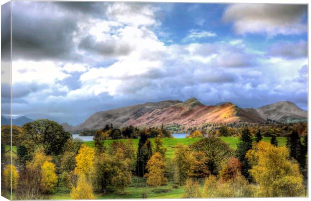 Cat Bells from Crow Park Canvas Print by David Stanforth