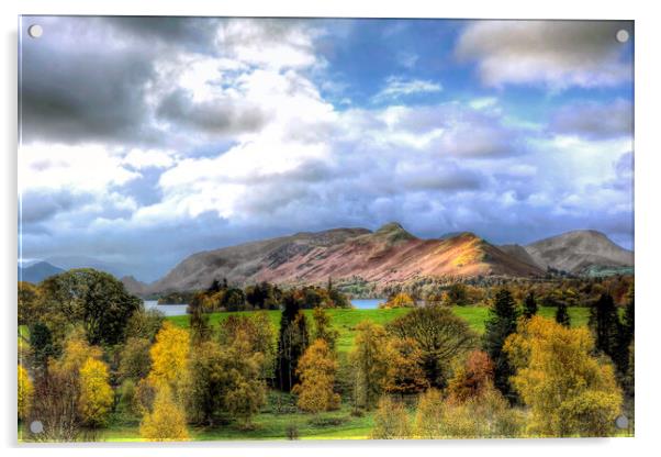 Cat Bells from Crow Park Acrylic by David Stanforth