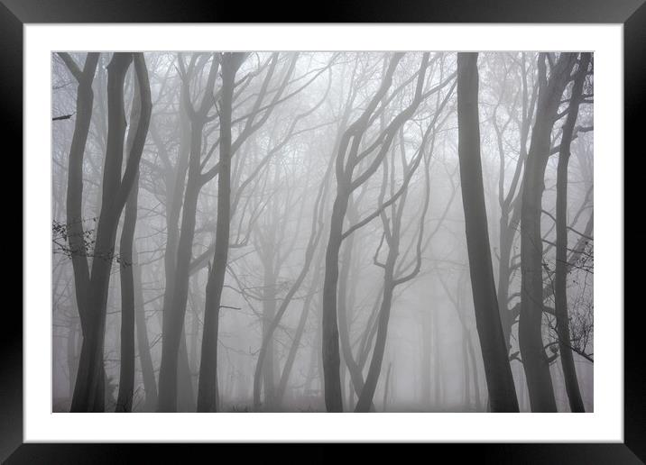 Moody Misty Morning Framed Mounted Print by Graham Custance