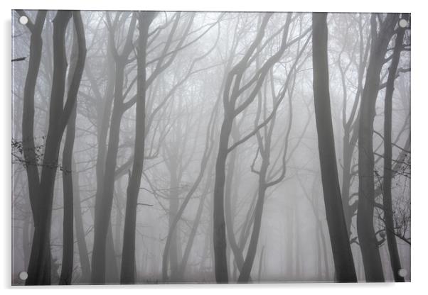 Moody Misty Morning Acrylic by Graham Custance