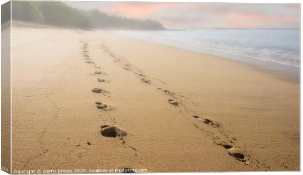 Footsteps on Early Morning Fog Canvas Print by Darryl Brooks