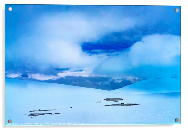 Snow Mountains Blue Glaciers Damoy Point Antarctica Acrylic by William Perry