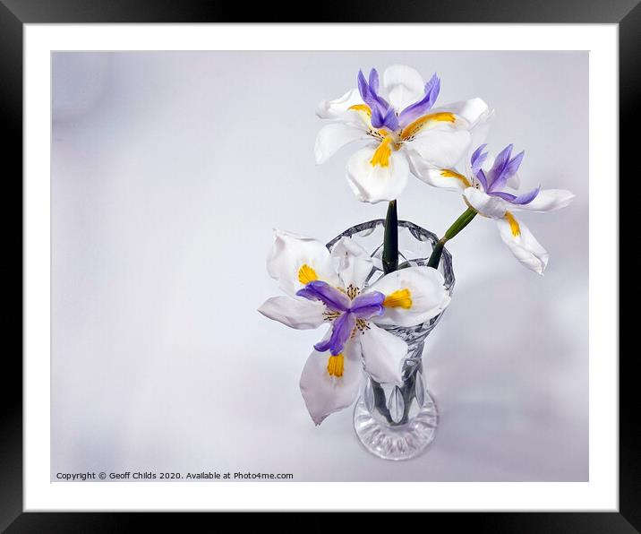 Wild Iris in glass vase. Framed Mounted Print by Geoff Childs